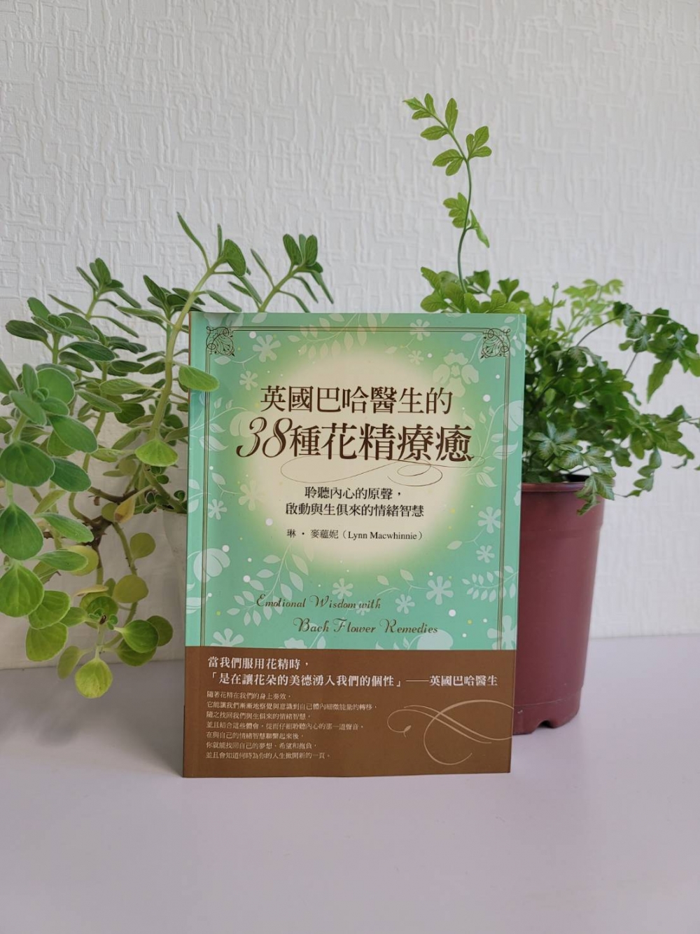 英國巴哈醫生的38種花精療癒