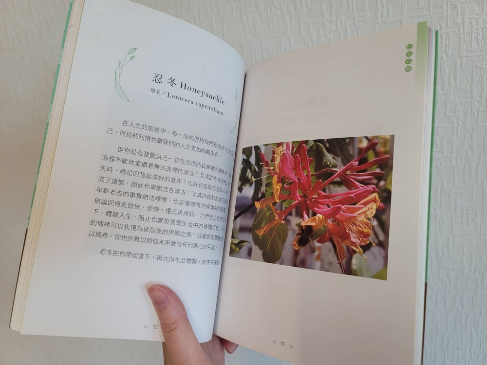 英國巴哈醫生的38種花精療癒
