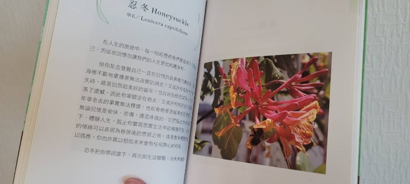 每個人都是自己最好的導師